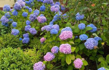 Pokoje gościnne przy Rynku - Foto 2