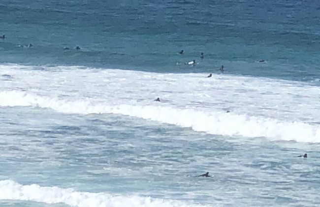 Bondi 38 Serviced Apartments - Photo 79