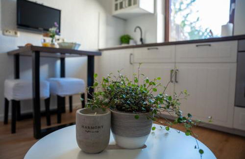 Ferienhof Kruse Wohnung 4 - Foto 7