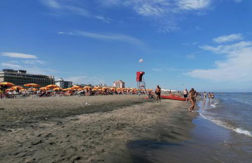 Fenicottero Rosa - Foto 48