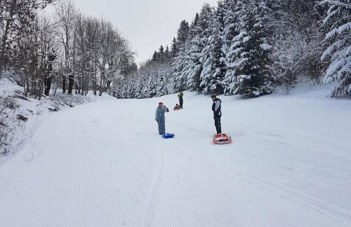 STUDIO CHALEUREUX aux pieds des pistes de ski des Glovettes - Foto 20