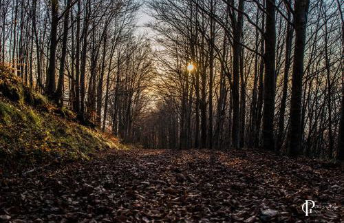 La Casina del Teso - Foto 21