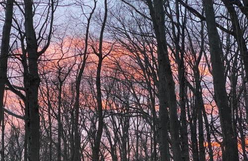 The Sanctuary at Deer Dune , Saugatuck - Foto 64