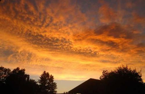 Ferienwohnungen Lohbinder Fam Holzer - Foto 12