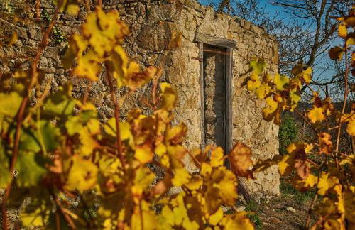 Condrieu et parking voiture vélo 2 ème étage - Foto 37