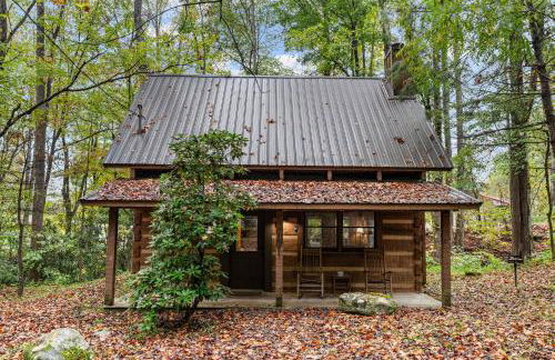 Little Bird Cabin by American Patriot Getaways - Foto 28