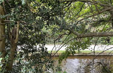 Berwyn Lodge with private hot tub - Foto 19