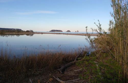 Escapada a l'Estartit - Argonavis - Foto 35