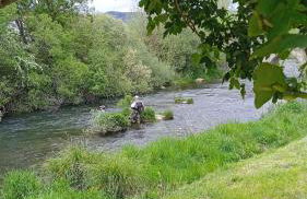 Casa Simón - Foto 8