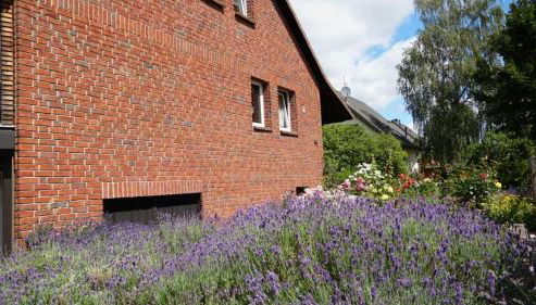 Pension Limone Ferienwohnung 2 - Foto 4