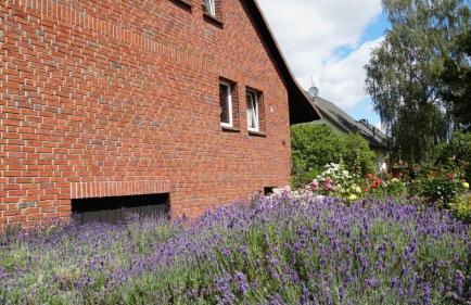 Pension Limone Ferienwohnung 2 - Foto 4