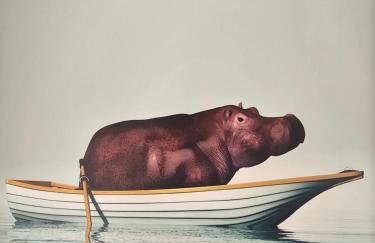 RuheTraum 80 - Design-Apartment - Foto 7