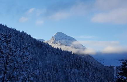 Mazot Hirondelle - Photo 26