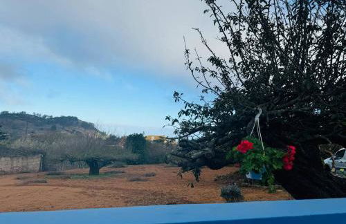 La casita de Rosi - Foto 22