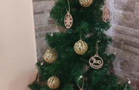 Descubre el Señorío - Foto 11