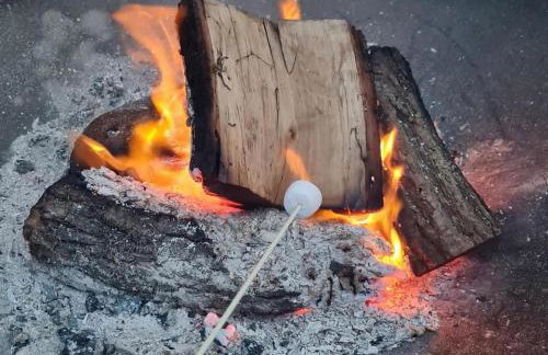 The Owls Rest Shepherds Hut Hethel - Foto 17