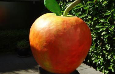 Traumferienwohnung zwischen Köln und Düsseldorf - Foto 28