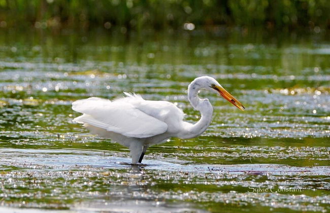 La-K-Ban espace événementiel - Photo 20