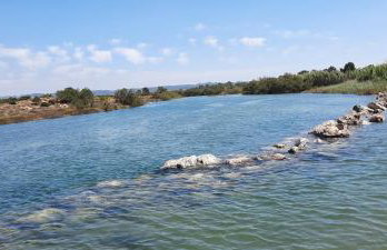 Casa Vitorino's - Foto 41