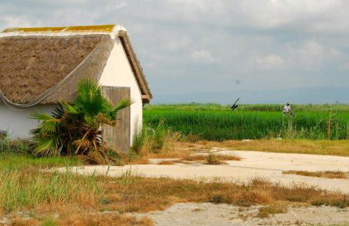 Birds&Nature - Foto 7