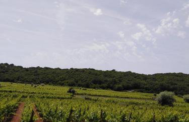 Apartment Sv. Marak - Photo 10