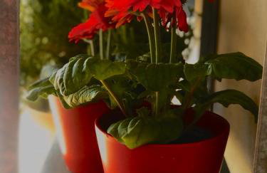 Sideroporta castle Náfpaktos - Foto 36