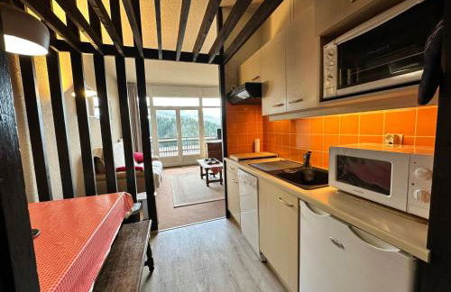 Studio cabine au pied des pistes à Villard de Lans, terrasse sud, parking gratuit - FR-1-515-106 - Foto 7