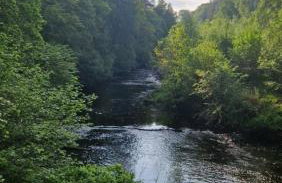 Cloncaird Castle Estate Cottages - Foto 39