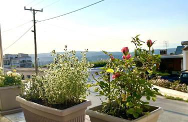 Trachos Traditional House - Foto 34