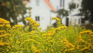 Kapitänshaus - Foto 4