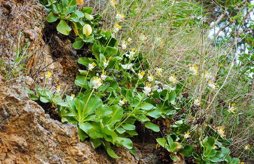 Residence Martina - Foto 28