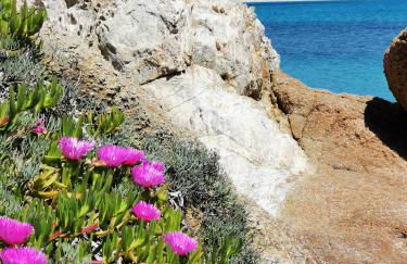 Cara Catherine - Foto 21