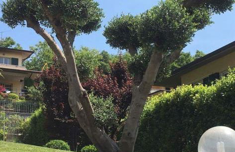 Villa Elisa Relax - Foto 39