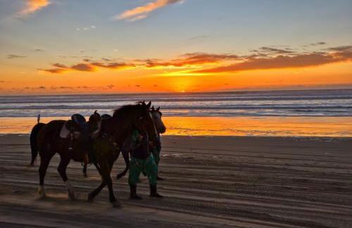 Pacific Plaza #608 - Oceano Getaway - 1BdrmUp-K-QSofa - Foto 28