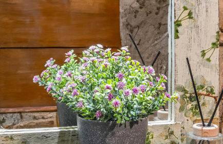 Villa Dani - Foto 18