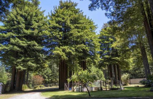 Serenity Grove - Foto 8