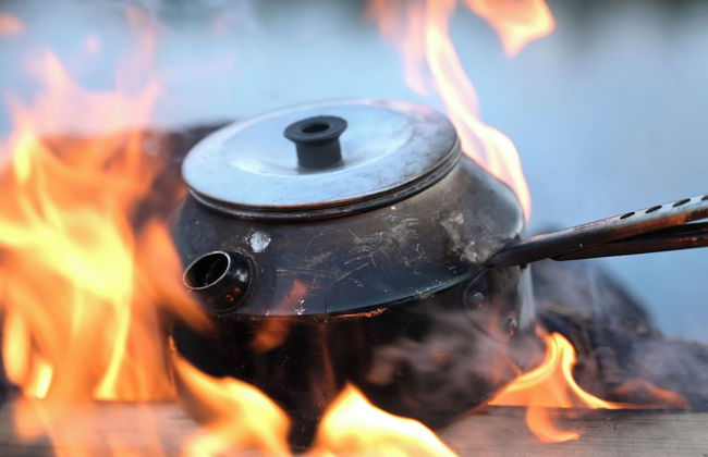 Tree Hotel - Foto 47