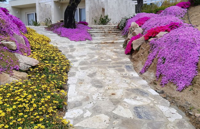 Botanic Golf SaCuba & Resort - Foto 22