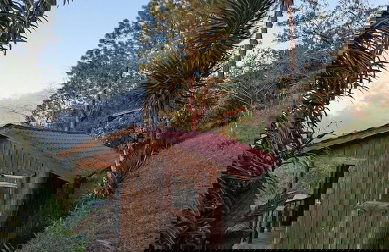 Campos de Oro Wilderness Lodge - Photo 65