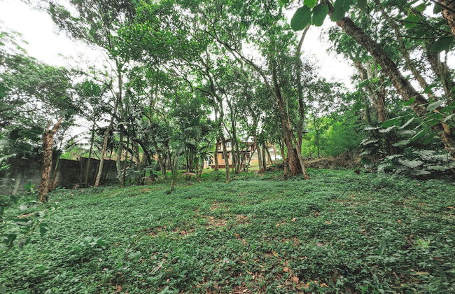 Chalé acolhedor cercado por natureza | Granja Viana - Foto 29