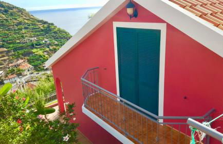 Pink House - Photo 44