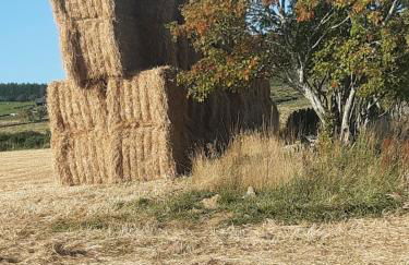 Springbank Cabin - Foto 9