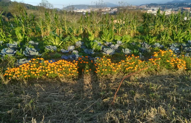 Casa Rural Aristondo - Photo 41