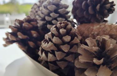 Villa ARIANA, 120m2, Climatisée, Piscine - Foto 35