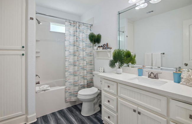 Birds of Paradise - Foto 14