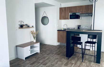 Appartement Cosy et chaleureux proche des grandes entreprises Toulousaine - Photo 40