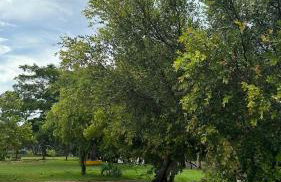 Rancho Piau - Foto 26