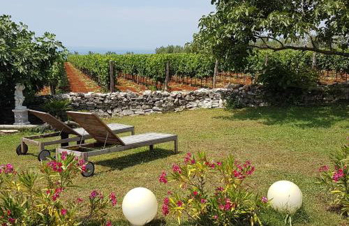 Villa Tisina - Haus der Stille - Photo 4