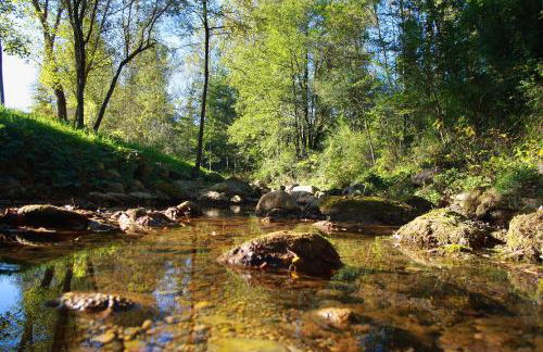 Can Torrotes - Foto 39