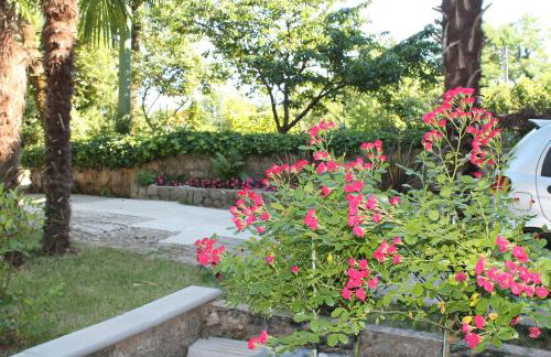 Apartment Tominovic - Foto 59